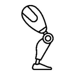 Biomeccanica